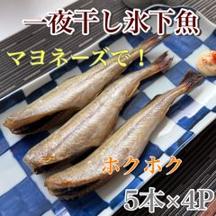 新鮮！美味しい！北海道産一夜干し氷下魚5本×4P