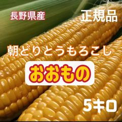 【正規品】　とうもろこし　おおもの　スイートコーン　朝採り　A級　長野県産のサムネイル