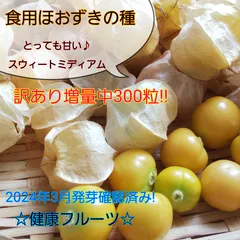 2024年最新】ほおずき 食用の人気アイテム - メルカリ