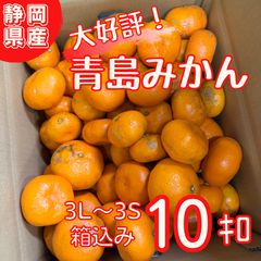 大好評！静岡県浜松産『青島みかん』15キロ わけあり サイズ混合