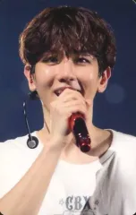 【中古】コレクションカード(男性)/ EXO-CBX/BAEKHYUN(ベクヒョン)/Blu-ray・DVD「EXO-CBX “MAGICAL CIRCUS“ 2019 -Special Edition-」EXO-L-JAPANオフィシャルショップ限定特典オリ