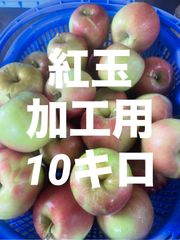 青森県産りんご紅玉  加工用10キロ
