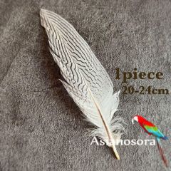 【単品羽根ゼブラ柄】羽根 フェザー 鳥 パーツ 材料 アクセサリー  素材