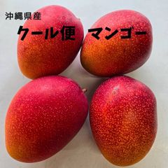 残り1箱です！甘くて美味しい　沖縄産マンゴー　1.6キロ　クール便