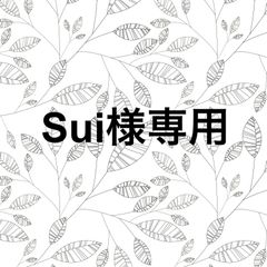 専用ページ
