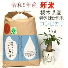 栃木県産コシヒカリ【特別栽培米】 白米5kg