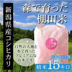 新潟米コシヒカリ 白米 15kg（5kg×3袋）新潟産こしひかり 産地直送 お祝い、ギフト、贈答に ご自宅、ご家庭、お弁当にも