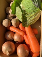 常備用　野菜　Aセット　 キャベツ・ にんじん ・玉ねぎ ・ジャガイモ