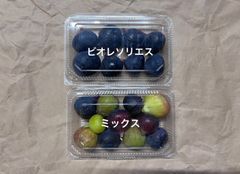 黒いちじく　ビオレソリエス、ミックス　　クール便