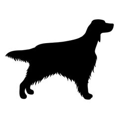 アイリッシュセッター 　犬　ステッカー(お名前入れられます)　屋外利用可耐水性耐候性あり