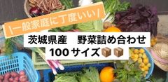 【100サイズ】茨城県産旬の野菜詰め合わせBOX