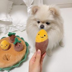 ノーズワーク　犬　おもちゃ　さつもいも 6本　知育玩具