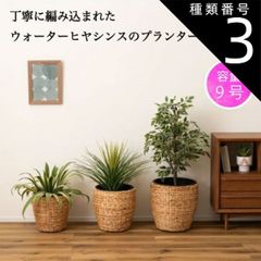 種類3：サイズ/Lサイズ プランター 植木鉢 7号用 9号用 単品 おしゃれ ナチュラル グリーンポット ウォーターヒヤシンス インテリア 鉢のまま 入れるだけ 観葉植物 S M L サイズ 新生活 引越し 一人暮らし アウトドア  オフィス 学校 病院 公共