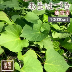 2025年最新】あまはづき 苗の人気アイテム - メルカリ