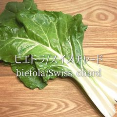 ビエトラ スイスチャード 不断草 3kg
