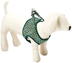 Item thumbnail for item cd670de1-da1f-4493-8f75-06c955746bdf