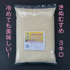 【きぬむすめ】白米3ｋｇ。有機肥料栽培、農薬不使用。