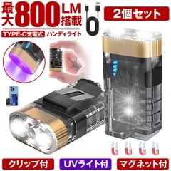 2個セット 懐中電灯 充電式 小型 ブラックライト ハンディライト 作業灯 UVライト 紫外線ライト led ライト キャップライト COB クリップ 最強 ハンディ 磁石 マグネット アニサキス USB TYPE-C フラッシュライト  作業 防水 持ち運び