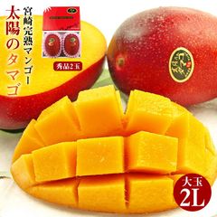 【 太陽のタマゴ 大玉 2L 2玉 化粧箱入り 】 宮崎完熟マンゴー 宮崎マンゴー 完熟マンゴー マンゴー 国産 国産マンゴー 母の日 父の日 ご家庭用 マンゴー アップルマンゴー ご自宅用 果物 くだもの フルーツ ギフト