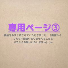 専用ページ③