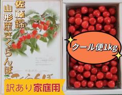 希少！！贈答用ラスト1箱☆ 高級品種さくらんぼ 甲斐ルビー 1キロ