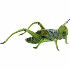 HANSA BH6879 バッタ グリーン 27 GRASSHOPPER 昆虫 虫 リアル グラスホッパー ぬいぐるみ ハンサ 動物 アニマル 置物 人形 フィギュア 大きい 実物大 大型 ビッグ おすすめ かわいい おしゃれ とんぼ