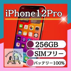 Apple iPhone12Pro 256GB SIMフリー バッテリー100%　管理番号23