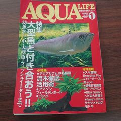 月刊アクアライフ 【中古】大型魚特集  1999年1月号 【雑誌】
