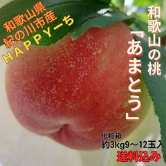 数量限定 和歌山の桃「あまとう2号」(化粧中箱9~12玉入)/お買い得/少し訳あり/食べ頃/プチ贅沢/お取り寄せ/産地直送
