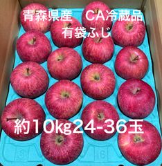 🍎青森県産🍎　りんご　5月31日発送分　CA冷蔵品　有袋ふじ約10㎏24-36玉