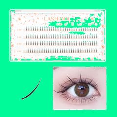 Item thumbnail for item aa3c5376-729a-4674-90b0-0ef8b5060cb7