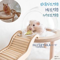 はしごSET +　直径１４ｃｍ　SET購入　ハムスター バス ハウス　トイレ スケルトン お風呂 浴び 浴び砂　ゴールデンハムスター ナチュラル ハウス