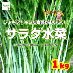 サラダ水菜（みず菜）　☆農薬や化学肥料は使用しておりません（※虫食いの跡あり）　埼玉県産　約１kg　※根元の茎の部分は切ってある場合があります