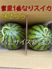 富里1番なりスイカ味きらら3Lサイズ2玉入り 富里1番なりスイカ味きらら3Lサイズ2玉入り 富里1番なりスイカ味