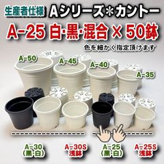 ミニ鉢専門店＊カネヤ＊A-25白 内径φ6.1cm:2号相当 カントープラ鉢50鉢セット＊A25＊多肉植物・塊根植物コーデックス・アガベ・サボテン・盆栽・観葉・ハオルチア・アデニウム・パキポディウム＊グラキリス・実生＠フラワーショップ江口※黒インク状の付着あり