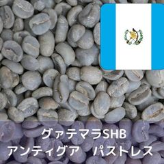 コーヒー生豆 グァテマラSHB アンティグア パストレス Qグレード 1kg