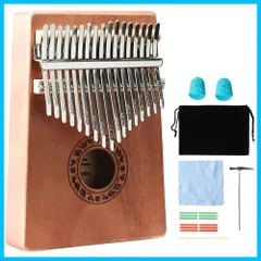 大人気商品 【未使用品】Kalimba Go カリンバゴー 【ナビゲーション