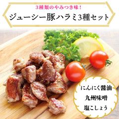 ジューシー豚ハラミセット 塩胡椒3pc 九州味噌3pc にんにく醤油3pc(各150g)