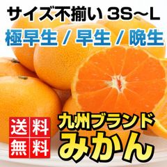 九州ブランドみかん 10kg サイズ不選別（訳あり 輸送保障込み）大玉入り