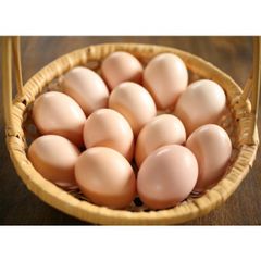 烏骨鶏のたまご　　50個