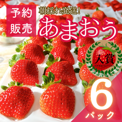 【予約販売商品】【減農薬】福岡県産あまおういちご 6パック (1710g)