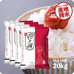 米 新之助20kg  お米 令和6年産 白米 送料無料（沖縄のぞく）