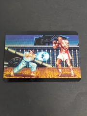 aca269 ストリートファイターII カード  サガット リュウ 1993 バンダイ