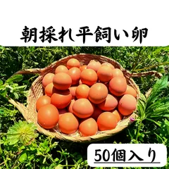 50個入　宮下養鶏の朝採れ平飼い卵　大分県産のサムネイル