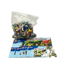 LEGOブロック まとめ売りセット マインクラフト 21179 キノコハウス 他 LEGO