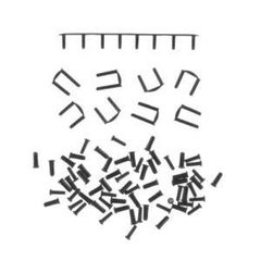 Item thumbnail for item 705e4b8f-0d76-418b-9261-d891b17b50bd