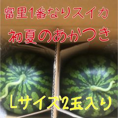 富里1番なりスイカ味きらら2Lサイズ1玉入り - メルカリ