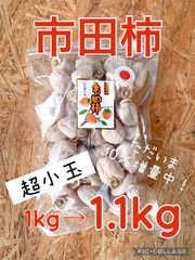 市田柿　徳用1kg→1.1kg（超小玉）