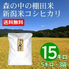 森で育ったお米 新潟米コシヒカリ 15キロ白米 新潟産 令和4年産
