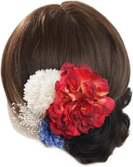 【在庫処分】浴衣 髪飾り 成人式 卒業式 振袖 和装 着物 袴 ドライフラワー ピンク 浴衣 アクセサリー ヘアアクセサリー かんざし 花 結婚式 着物 成人式 七五三 花火大会 前撮り 卒業式 和装 花嫁 赤 白 red
